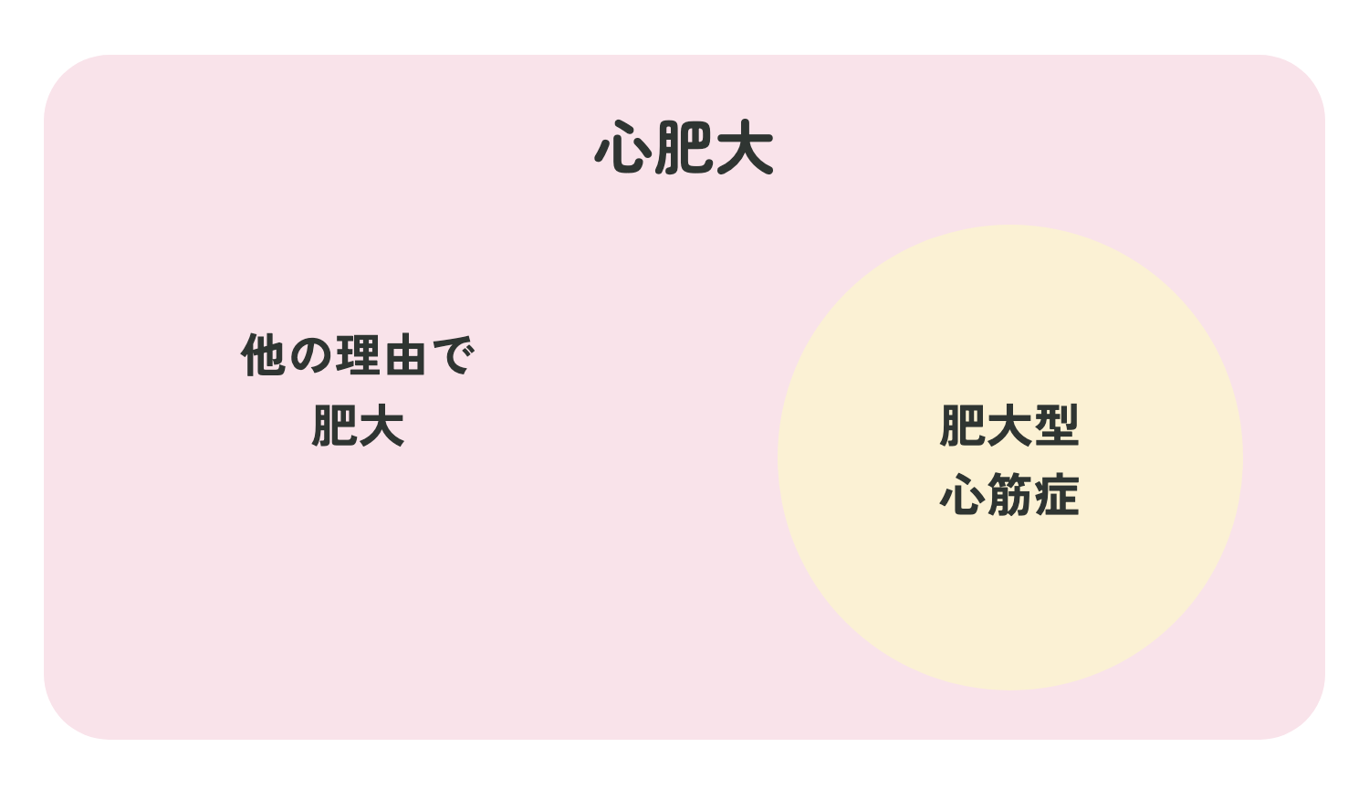 心肥大の中には、肥大型心筋症と、他の理由による肥大がある