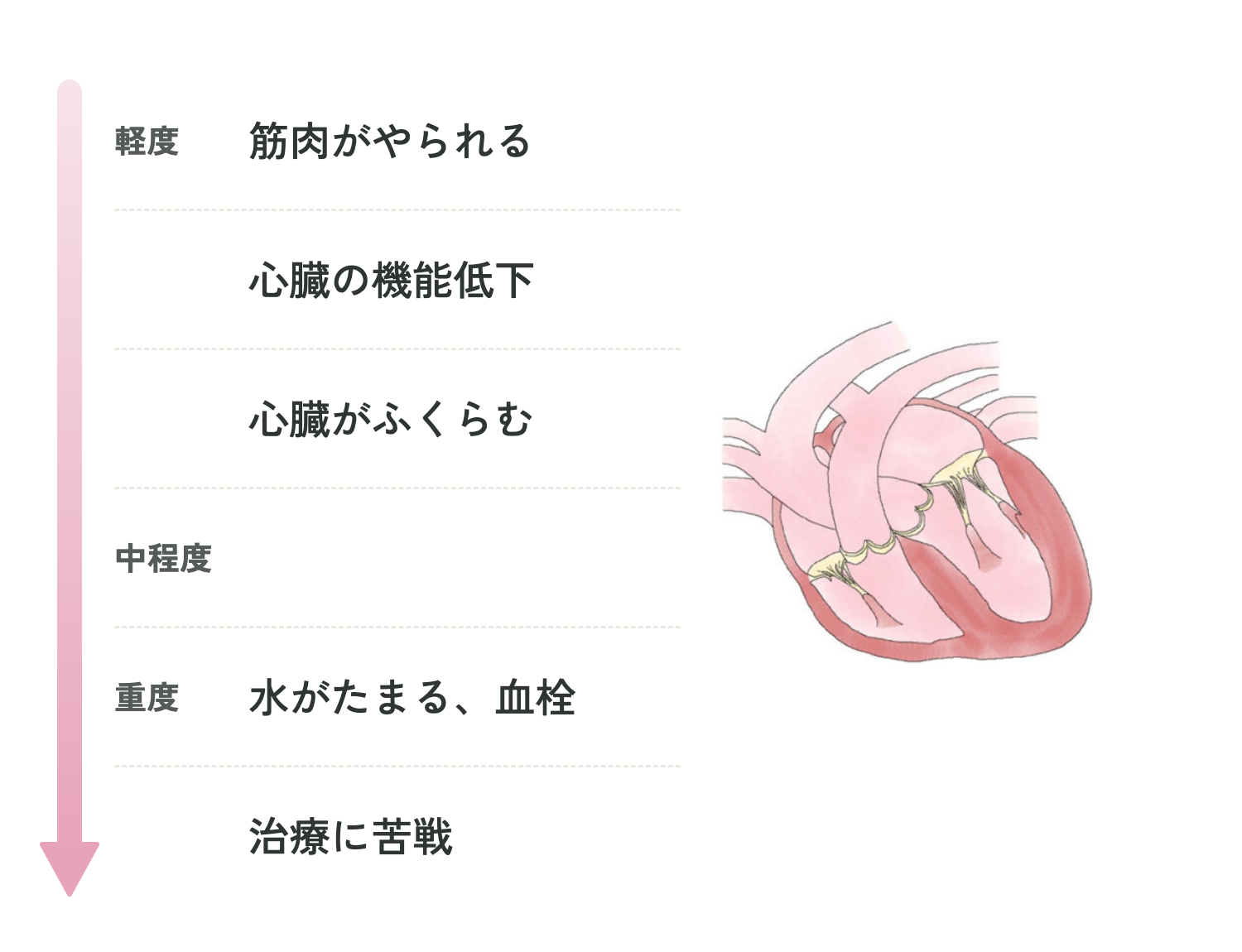 猫の心筋症の進み方