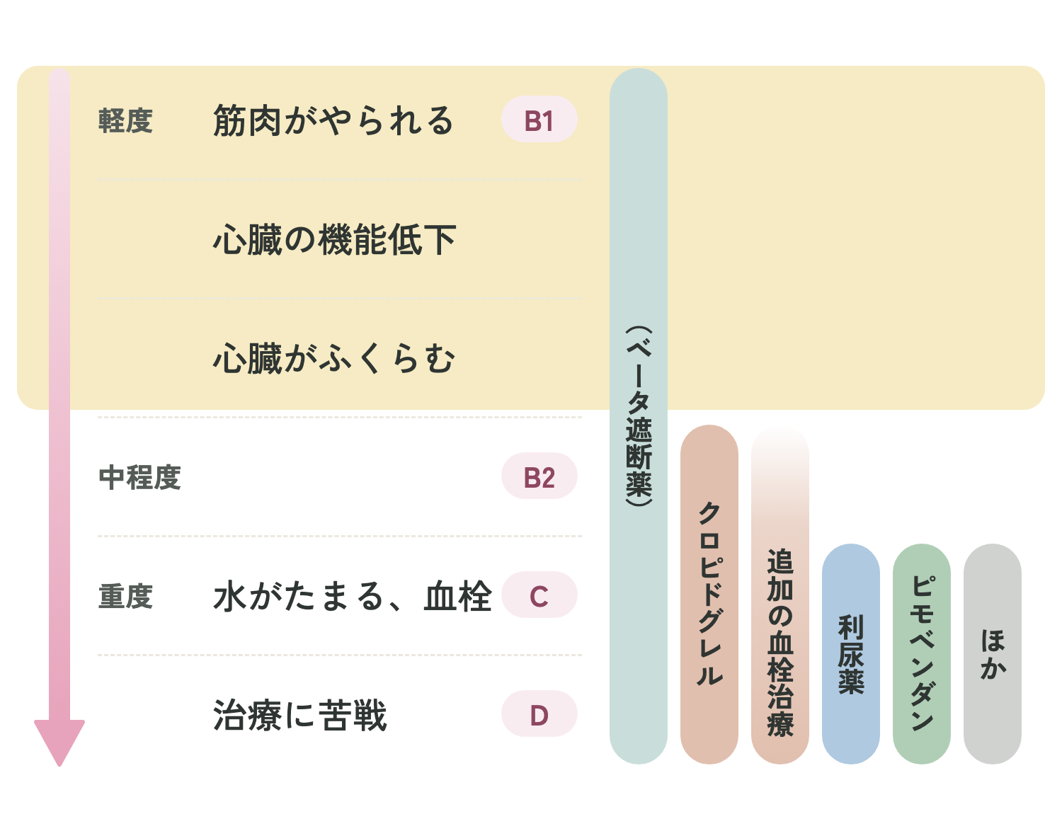 猫の心筋症の進行度（ステージ）と、それぞれで使う治療