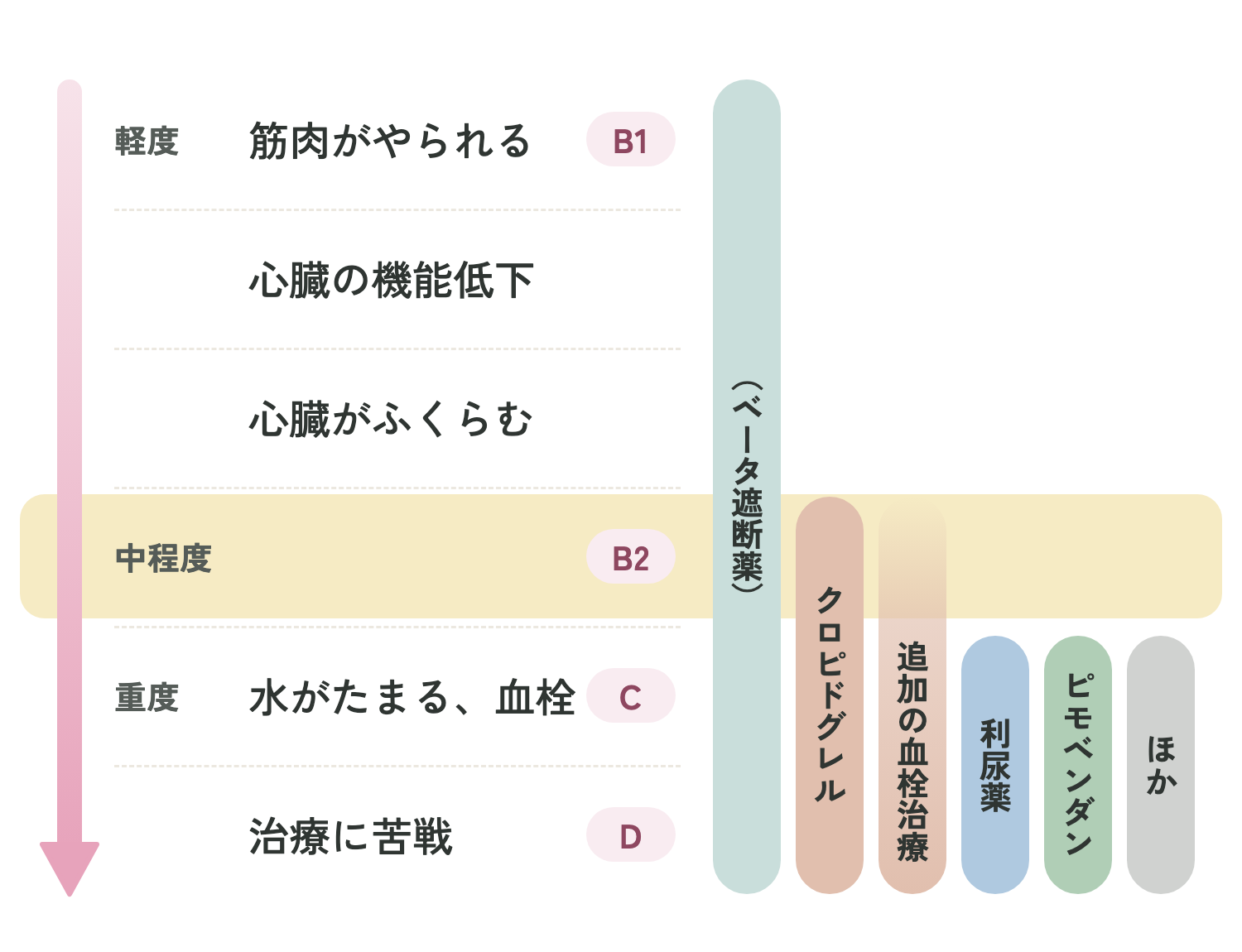 猫の心筋症の進行度（ステージ）と、それぞれで使う治療