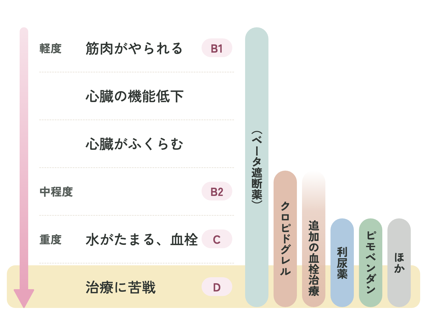 猫の心筋症の進行度（ステージ）と、それぞれで使う治療