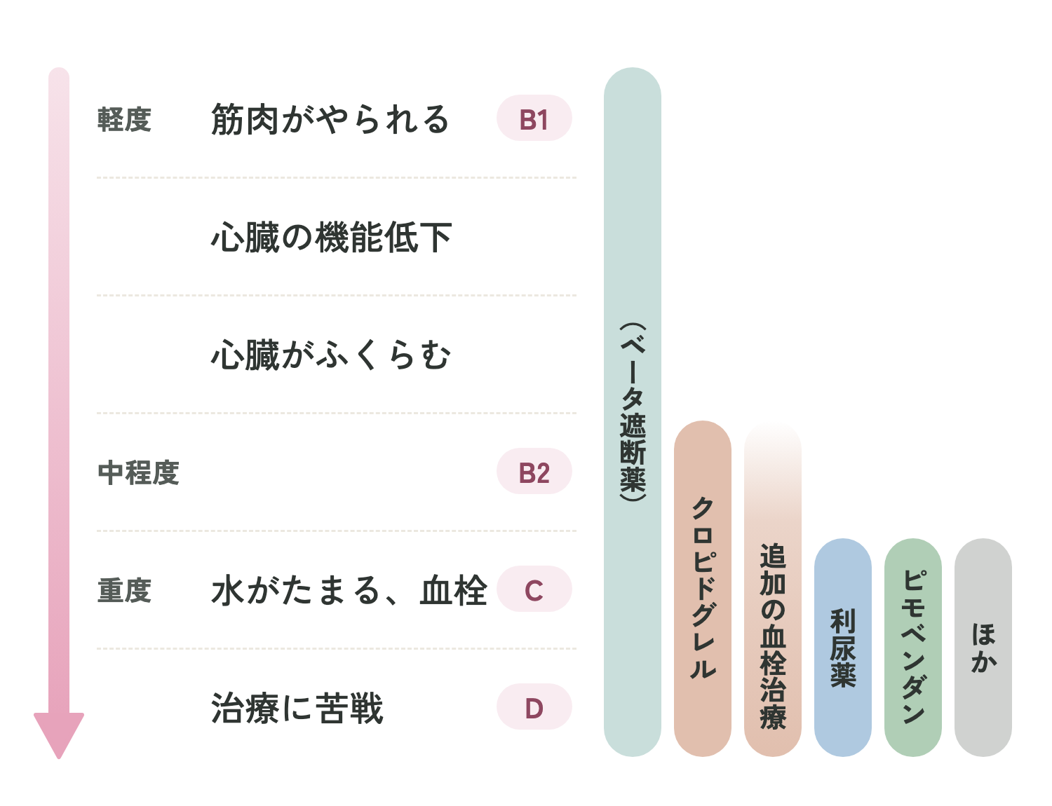 猫の心筋症の進行度（ステージ）と、それぞれで使う治療