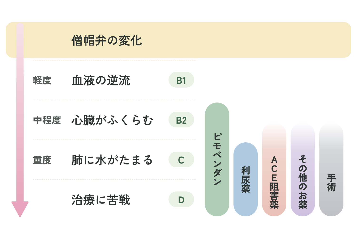 ステージAで使う治療(犬の僧帽弁閉鎖不全症)