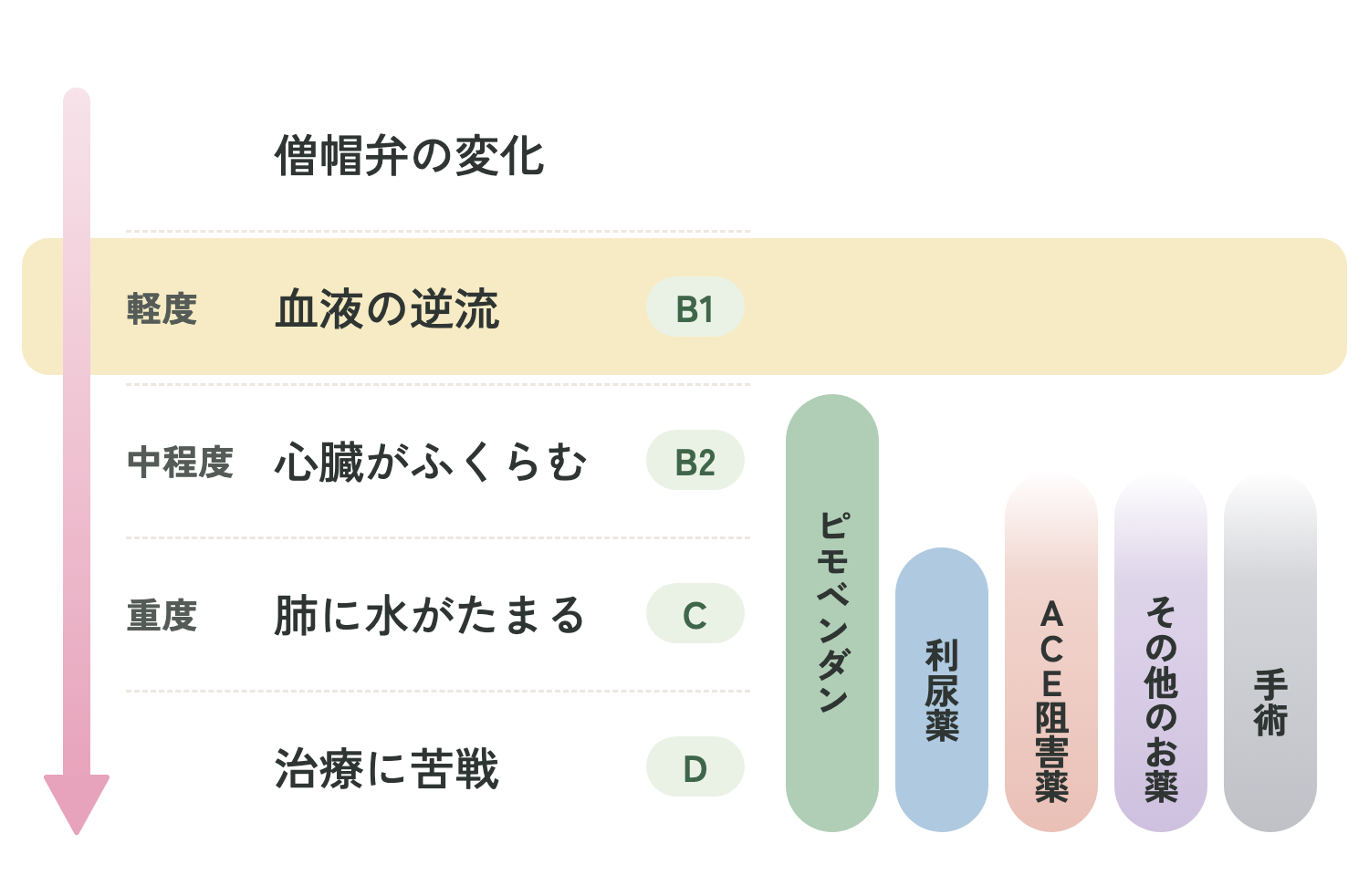 ステージB1で使う治療(犬の僧帽弁閉鎖不全症)