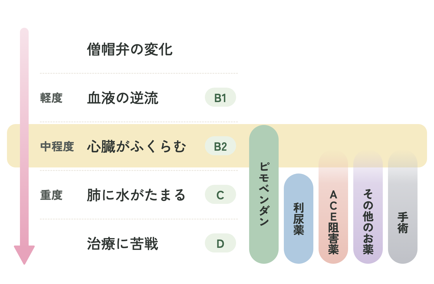 ステージB2で使う治療(犬の僧帽弁閉鎖不全症)
