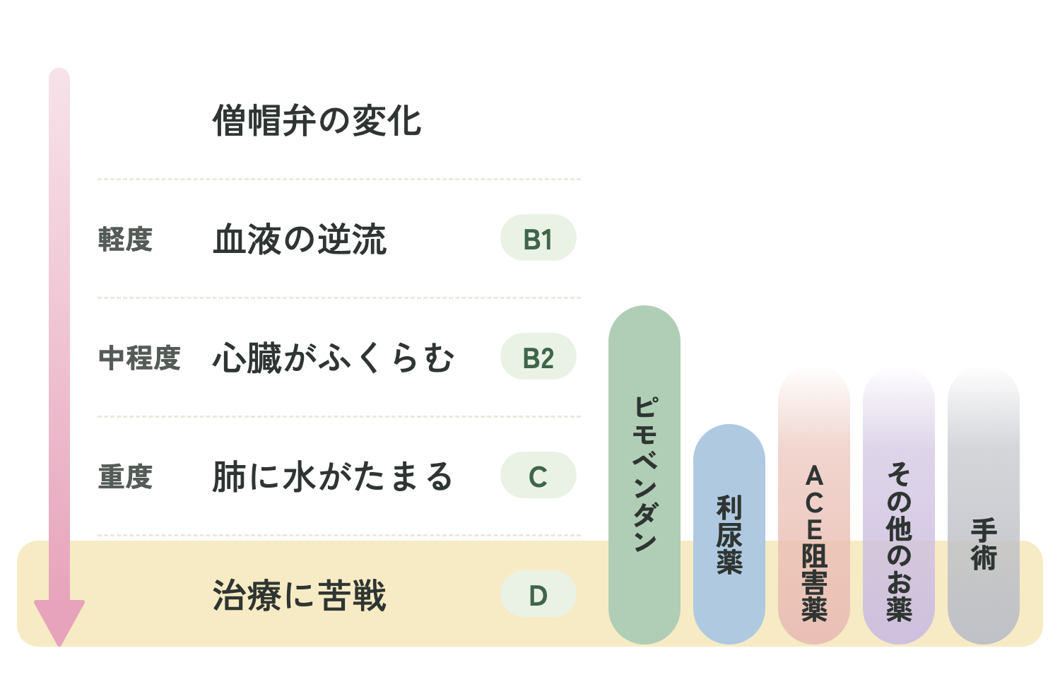 ステージDで使う治療(犬の僧帽弁閉鎖不全症)